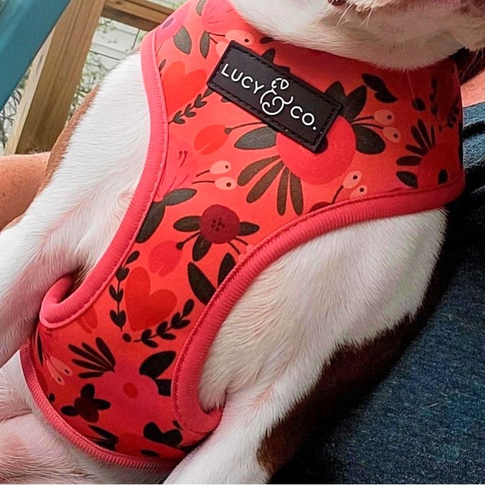The Posy Pink Floral Reversible Harness- Lucy & Co